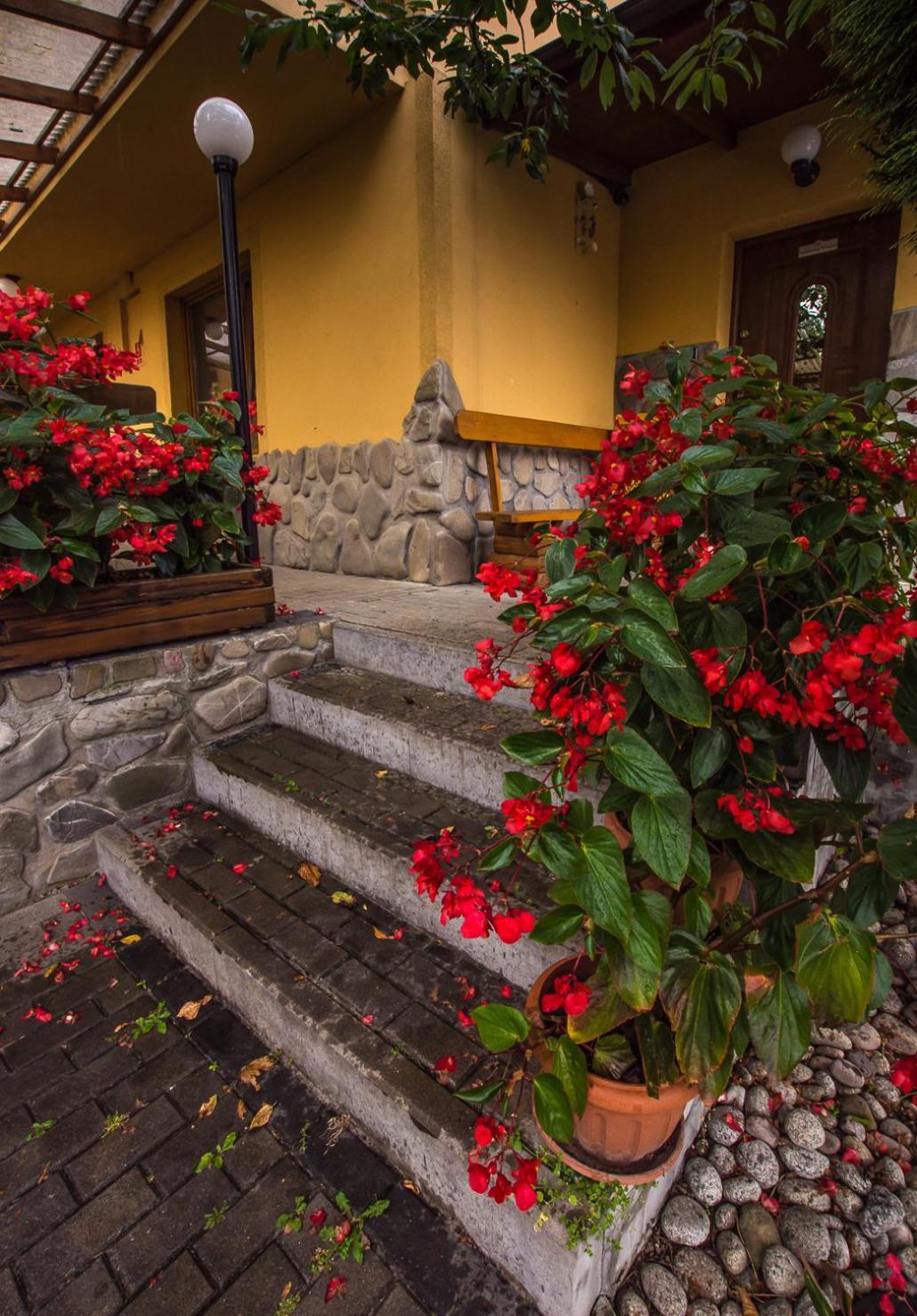 Pokoje I Apartamenty U Dragonka Sniadania I Obiady Szczawnica Zewnętrze zdjęcie